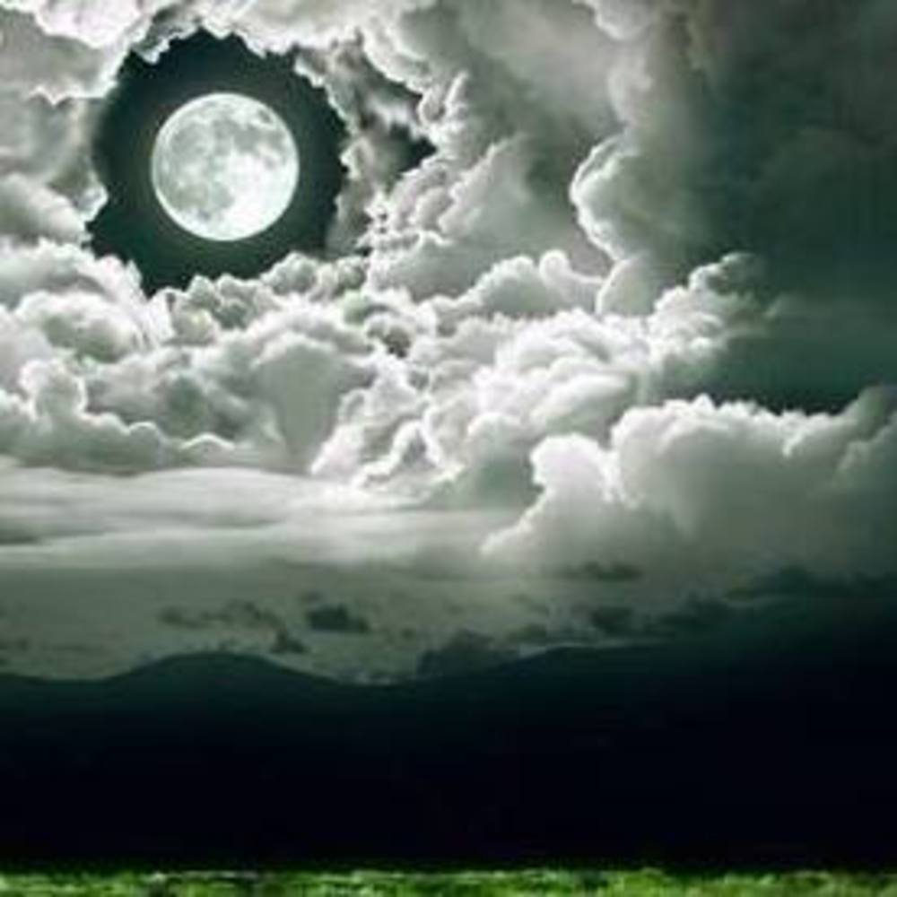 Meet your Posher, Kristy